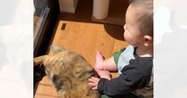 生まれたときから猫といっしょに育った赤ちゃん→猫のことが好きになっていって…愛にあふれた『成長記録』に感動「ただただ愛らしい」