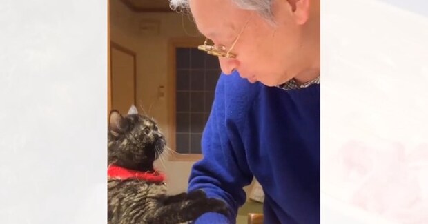 お父さんがお肉を調理していると、猫がやってきて…ついあげたくなる『反則級のおねだり』が60万再生「困ったな…（歓喜）」「可愛すぎる」