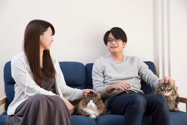 猫との暮らしを楽しむカップル