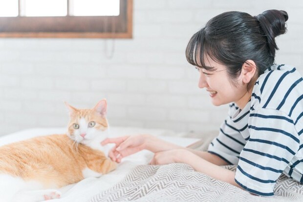 女性と目を合わせない猫