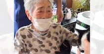 100歳になったおばあちゃん→15年ともに過ごした元野良猫と『8年ぶりに再会』した結果…「言葉にならない」「素敵で感動した」と40万再生