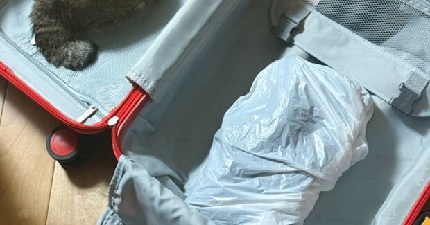 『明日から山形に出発だけど、まだ靴と…』スーツケースに入っていたものとは？→「もう準備万端だねｗ」「楽しい旅になる予感」と４万いいね