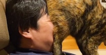 猫の『愛情表現』が激しすぎた結果…想像を超えてくる『まさかの光景』に爆笑の声続出「窒息していないか確認ｗ」「情報量多すぎｗ」と３万いいね
