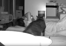 夜、『飼い主のもとにやって来た猫』が次の瞬間…カメラが捉えた『尊すぎる瞬間』が118万表示の大反響「幸せいっぱい」「テンション上がるねｗ」