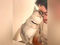 夕食の前、パパの隣にネコが来ると『手料理が冷めてしまう』問題…絶対に無視できない『まさかの理由』が103万再生「尊い」「愛し合ってる」