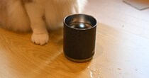 水でびちゃびちゃになっていたテーブルの上→そばにいた『猫の顔』を見たら…笑っちゃう光景に１万いいね「世渡り上手だｗ」「勝手に溢れました」
