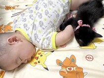 『寝ている赤ちゃんの様子』を見に行ったら、子猫が……ずっと見ていたくなるほど尊い『まさかの光景』に「本物だった」「涙出そう」と絶賛