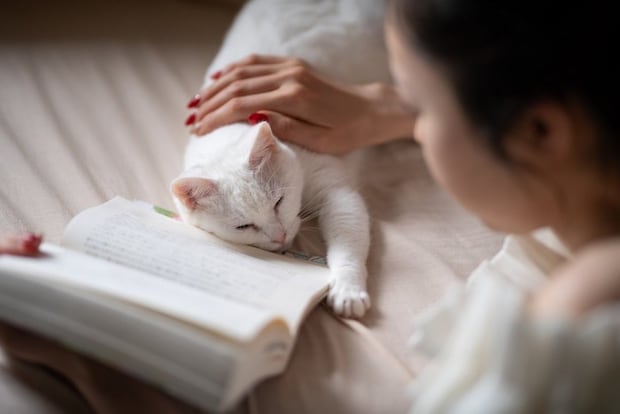 読書をしている女性と猫