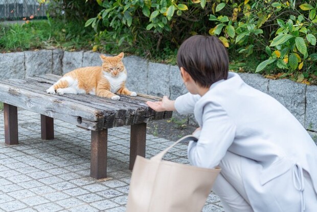 野良猫に近づく女性