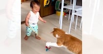 『1歳の息子』が猫じゃらしをもって『猫と遊ぼうとした』結果…あまりにも尊い光景に「なんて素敵なんだ」「可愛いいい」と癒される人が続出