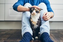 猫が飼い主の『足をわざと踏んでくる』心理4つ　不思議な行動に隠れた理由やメッセージとは