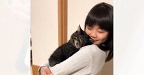 女の子が手を広げると、ネコがジャンプで乗ってきて…次の瞬間→『泣けるほど尊い光景』が236万再生「幸せを感じた」「涙が出てしまった」