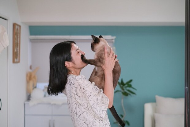 猫にパンチされる飼い主