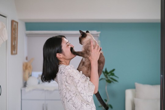 猫が『触られたくない』ときにみせるサイン5つ　嫌がる理由から取るべき対処法まで