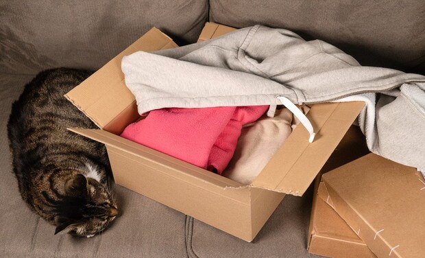 衣服の入った箱のそばで寝転ぶ猫