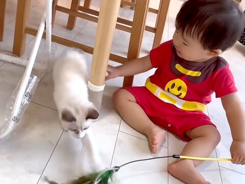 子猫と仲良く遊んでいる赤ちゃん→夢中になった結果…予想をはるかに上回る『奇跡の瞬間』に「撮影できてよかったね」「思わず涙が」と反響