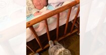 生まれたばかりの赤ちゃんがベッドで寝ていると…お兄ちゃん猫が見せた『素敵な行動』に「可愛いねぇ〜」「見守り頑張ってね」と反響