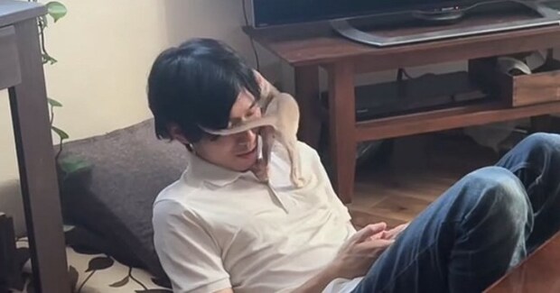 男性にベタベタに甘える生後3か月の子猫→仲良しかと思ったら…『驚きの真実』に爆笑する人が続出「すごい気に入られてるw」「かわいすぎw」