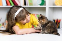 子猫の『社会化期』に身に付けたいこと3つ　慣れさせておくべき理由やトレーニング術も解説