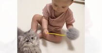 赤ちゃんが『赤ちゃん猫』の前で猫じゃらしを使った結果…思わず癒される『尊い光景』に反響「癒しをありがとう」「かわいいが渋滞してる」