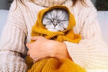 猫が『寒さに弱い』理由2つ　快適に過ごしてもらうための防寒対策も