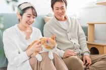 猫に『ストレス』を抱えさせないための工夫5つ　心身の健康を支えるケア方法もご紹介