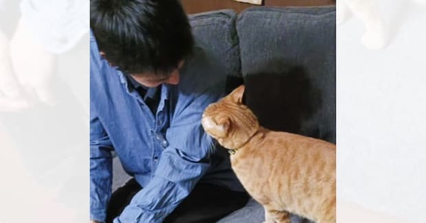 命の恩人と『6年ぶりの再会』で……猫が見せた『まさかのリアクション』に涙「絶対に覚えているんだと思う」「泣けちゃうね」と感動の声