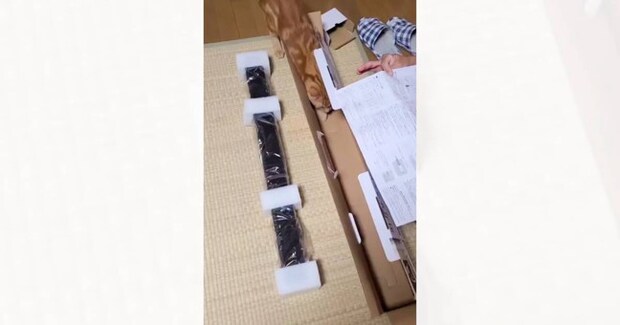 サウンドバーが入っていた細長い箱→猫が歩いてくると…『まさかの光景』が574万再生「ニャウンドバーw」「感動してしまった」と大反響