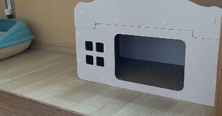 『行方不明になった子猫』→家中探し回った結果…まさかまさかの『結末』が30万再生「ほんとうに可愛いがすぎるｗ」「囲まれて幸せそうｗ」