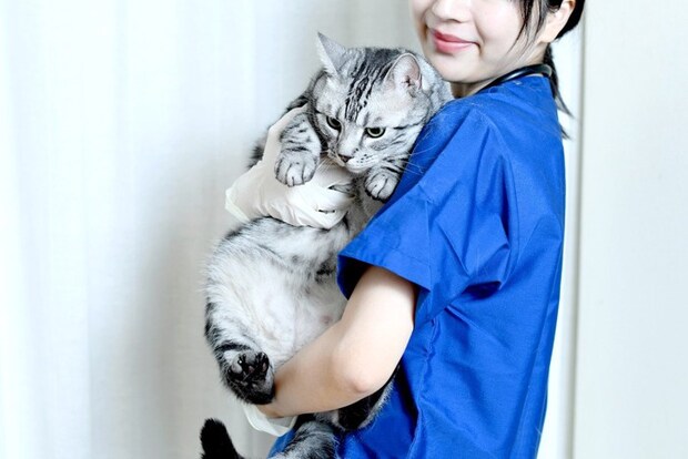 猫を抱く獣医師