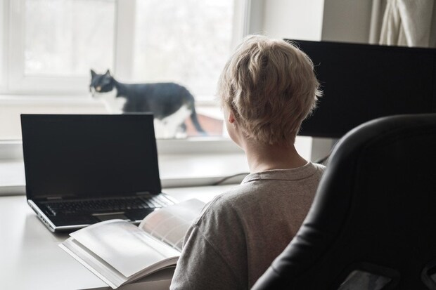 事務室の窓辺を歩く白黒猫