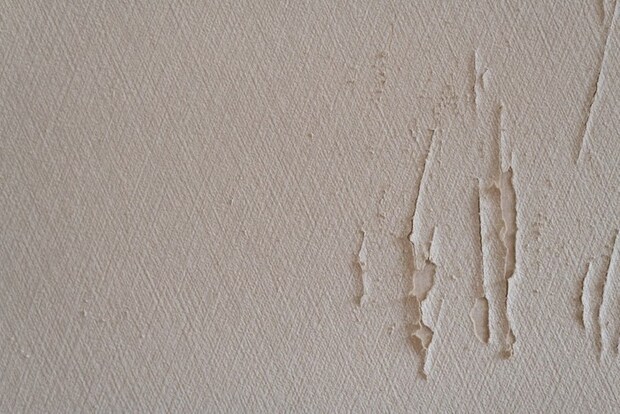 猫が爪でひっかいた壁紙