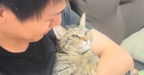 足を洗われて不満そうにしていた猫→頭をなでると…思わず笑顔になる『可愛すぎる反応』が７万再生「もう子供だねｗ」「すんごい文句垂れてるｗ」