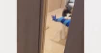 部屋の奥から歩いてきた猫→ドアの前まで来ると…飼い主さんに見せた『可愛すぎ注意な瞬間』に３万いいね「失神するところだった」「無事尊死」