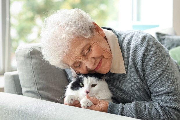 おばあちゃんと猫