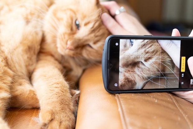 目線を合わせて撮る