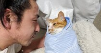 バンド仲間からの質問→『猫の可愛さってピークを過ぎたら低下する？』→飼い主の"涙が出る返答"が40万表示「うるっときた」「泣ける」