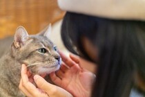 猫が『記憶しやすい』人の言葉5選　覚えられる理由や教え方のコツもご紹介