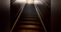 家を購入するときに躊躇した『幽霊が出そうな階段』→猫たちが使うと…17万再生の可愛すぎる光景に「釘付けになった」「素晴らしい眺め」と絶賛