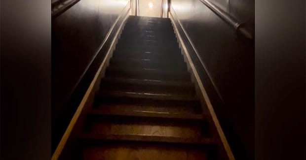 家を購入するときに躊躇した『幽霊が出そうな階段』→猫たちが使うと…17万再生の可愛すぎる光景に「釘付けになった」「素晴らしい眺め」と絶賛