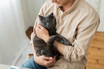 猫の『終活』で考えるべきこと3つ　後悔のないお別れをするためにできる備えとは