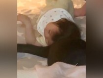 白黒ネコの近くにいる１歳の赤ちゃん→しっぽを動かして…『まるであやしているような光景』に反響「ループして見てた」「ふたりとも優しい」