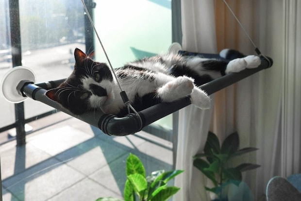 窓につけるタイプの猫ハンモック