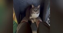 パネルヒーターで足を温めていると、猫ちゃんがやって来て…"可愛すぎる瞬間"に６万いいね「あったかを察知」「表情が本当に好き」と話題