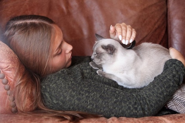 ソファーで寝転ぶ女性と猫