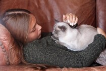 猫が『心を許した人』にみせるサイン5つ　行動の意味から信頼されるためのコツまで