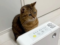 ヒーターが大好きな猫→ついていないことに気づいた結果…次の瞬間見せた『あからさまなアピール』が16万再生「文明の利器を理解してるｗ」