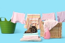 猫との暮らしで『部屋干し』するときの注意点3つ　愛猫を苦しめている可能性も…？