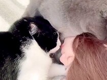 甘えん坊な２匹の猫→飼い主さんが"横"になると、すかさずやってきて…まるで"赤ちゃん"のような2匹が見せた『驚きの甘え方』が51万再生