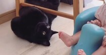 赤ちゃんが繰り返し"しゃっくり"をしていると、『近くにいた黒猫』が…思わず笑顔になる『優しい瞬間』に反響「癒される時間」「なんか良いな」